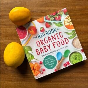 The Big Book of Organic Baby Food, by Stephanie Middleberg, Lightly Used, VGUC